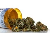 Medical-purpose Marijuana
