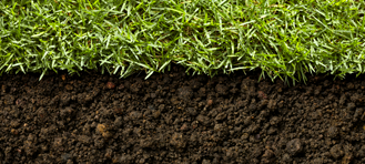 Environment Management